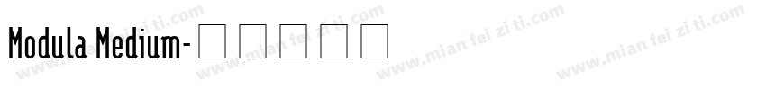 Modula Medium字体转换